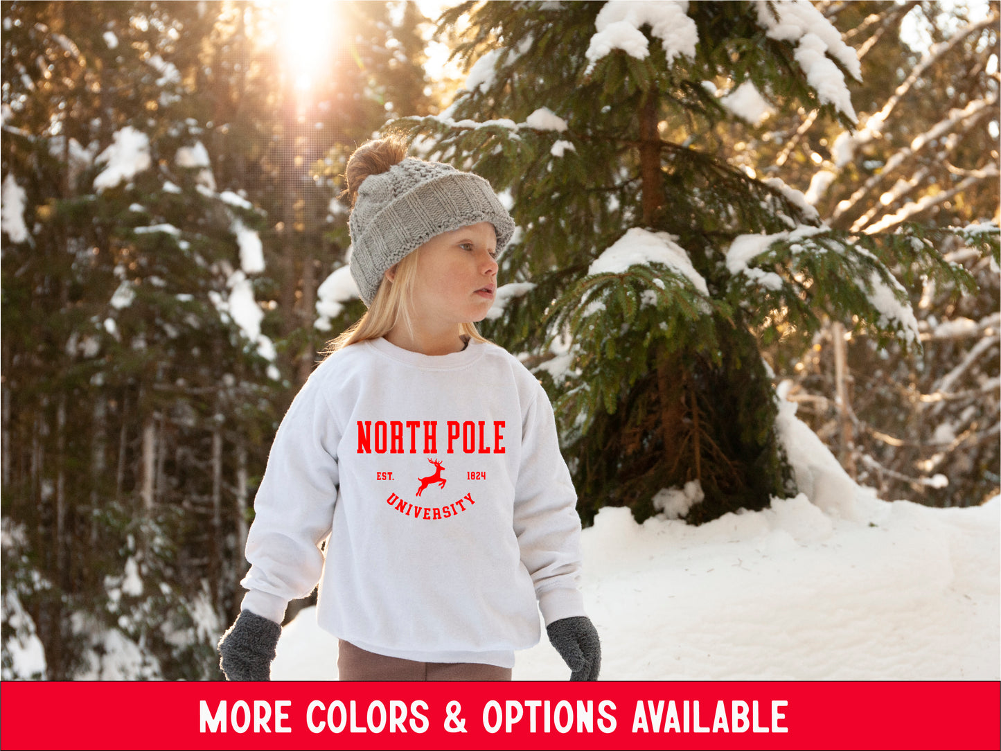 NORTH POLE SWEATER <br> More colors available